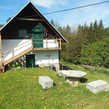 Mellach  Ferienhaus Am Reitbauernhof Luckyranch מראה חיצוני תמונה