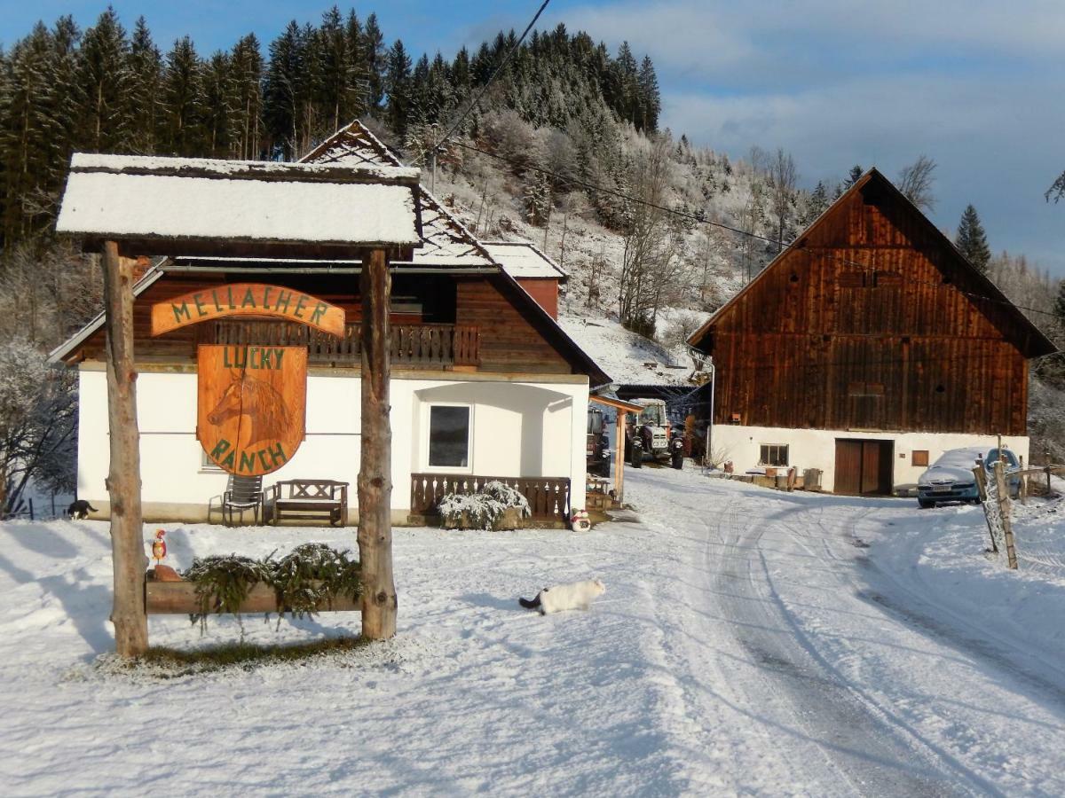 Mellach  Ferienhaus Am Reitbauernhof Luckyranch מראה חיצוני תמונה